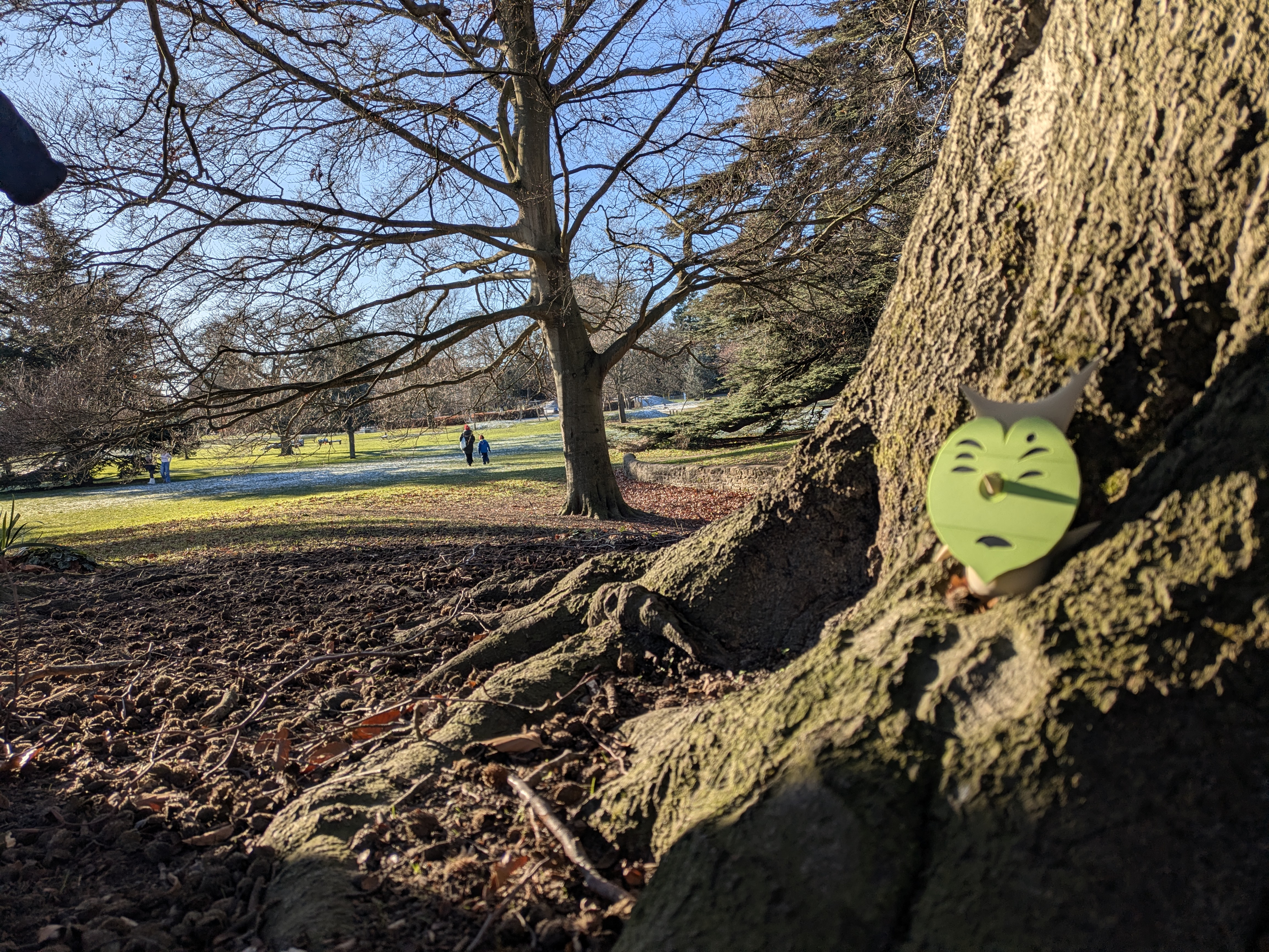 Koroks hiding