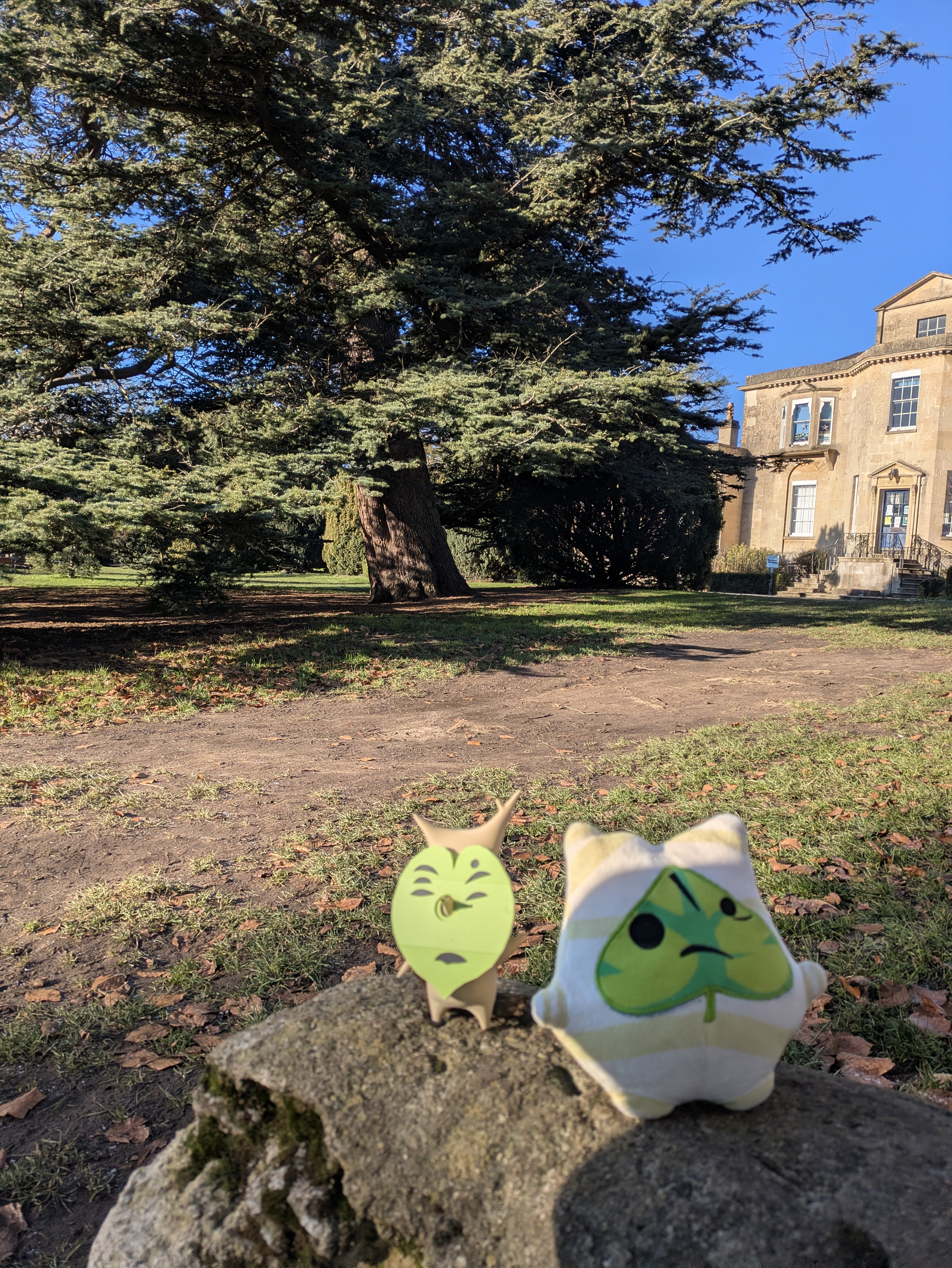 Bury Knowle Park